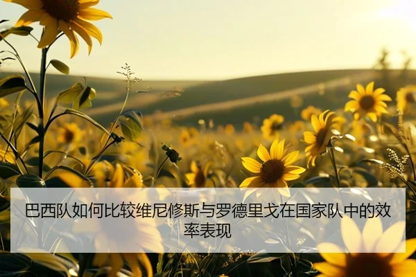 巴西队如何比较维尼修斯与罗德里戈在国家队中的效率表现
